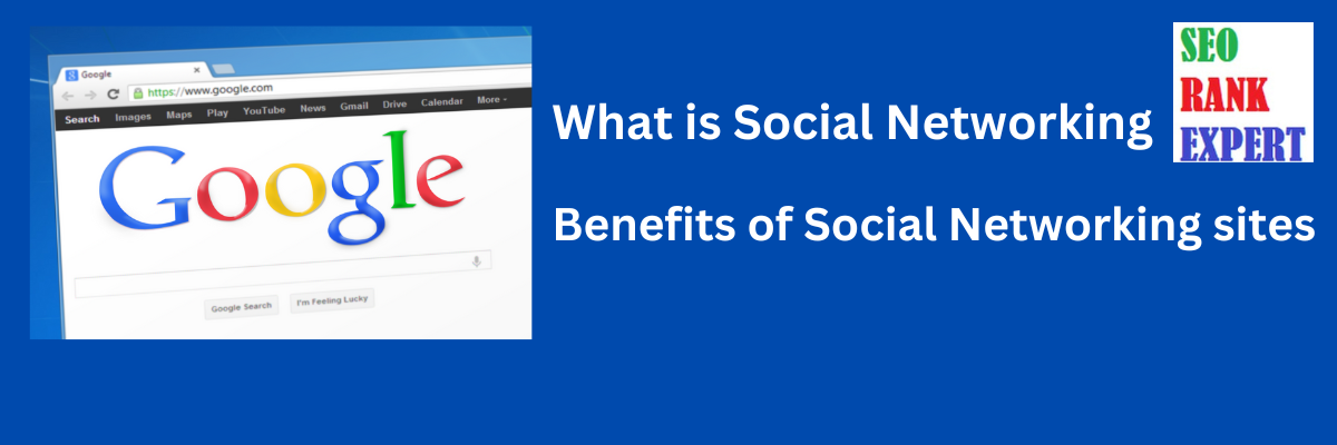 Social Networking sites